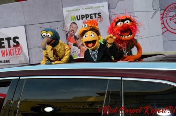 Muppets Most Wanted Movie Premiere Red Carpet