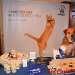The Shelter Pet Project at Secret Room Events Red Carpet Style Lounge #Emmys
