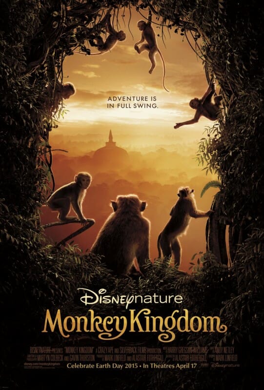 Monkey Kingdom swings into theaters April 17, 2015. For more information about the film and the conservation program, go to www.disney.com/monkeykingdom