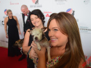 One of the Hero Dogs at the 5th Annual American Humane Association Hero Dog Awards #HeroDogAwards