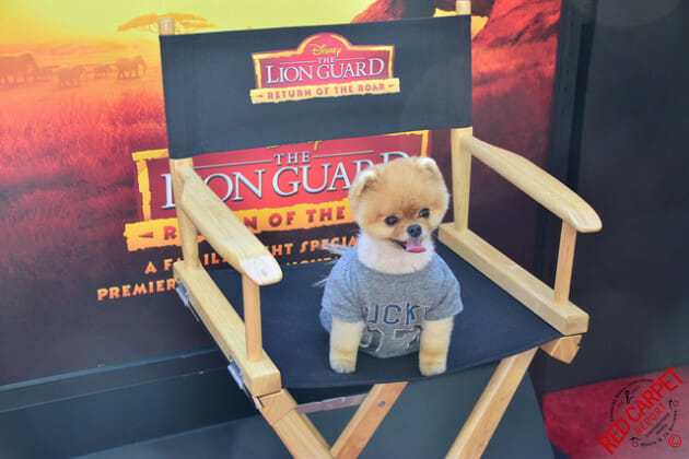 Jiff Pom at the Premiere of Disney's "The Lion Guard: Return of the Roar" #TheLionGuard