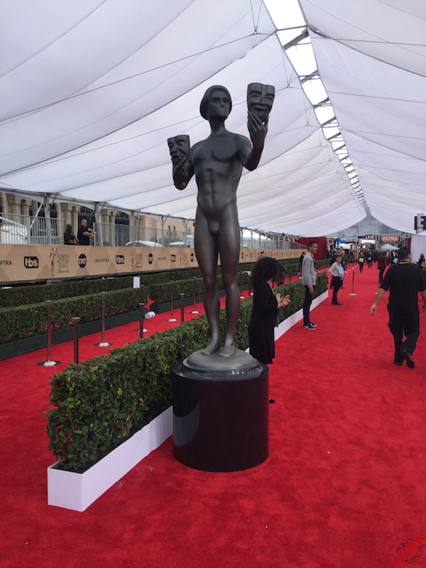 on the 22nd Annual Screen Actors Guild Awards Red Carpet #SAGAwards - IMG_8996
