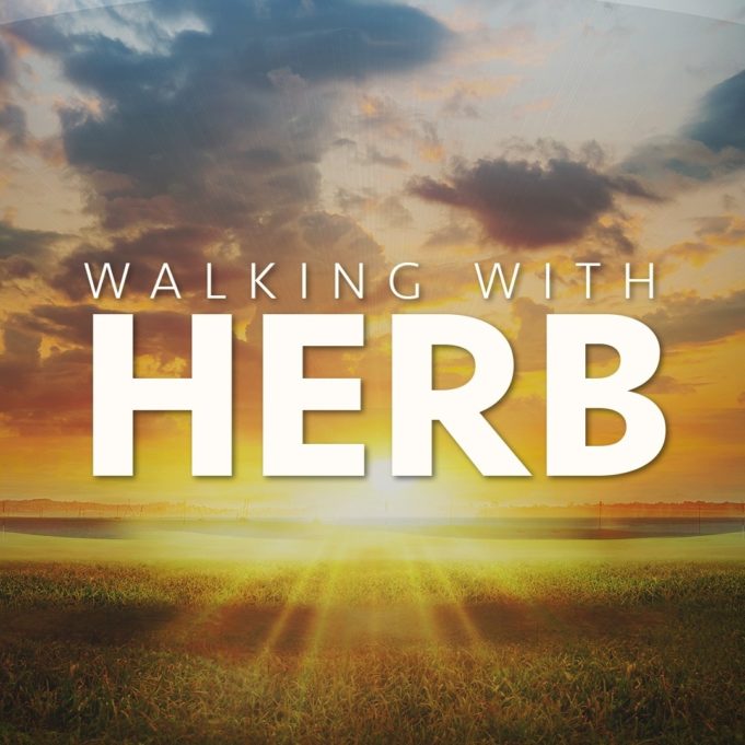 walking with herb