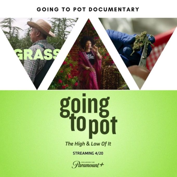 going to pot doc from MTV